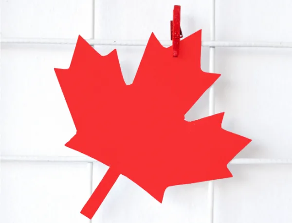 Rectangle 31 Canadian Controlled Private Corporations